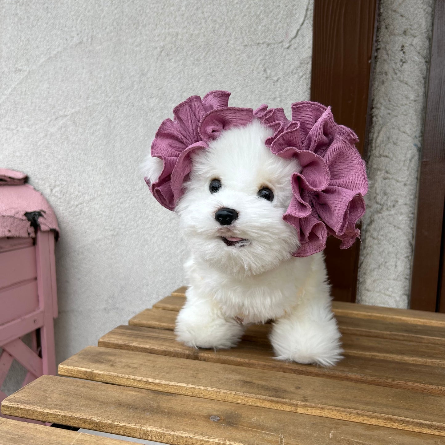 【イヤーシュシュ】干しぶどう336