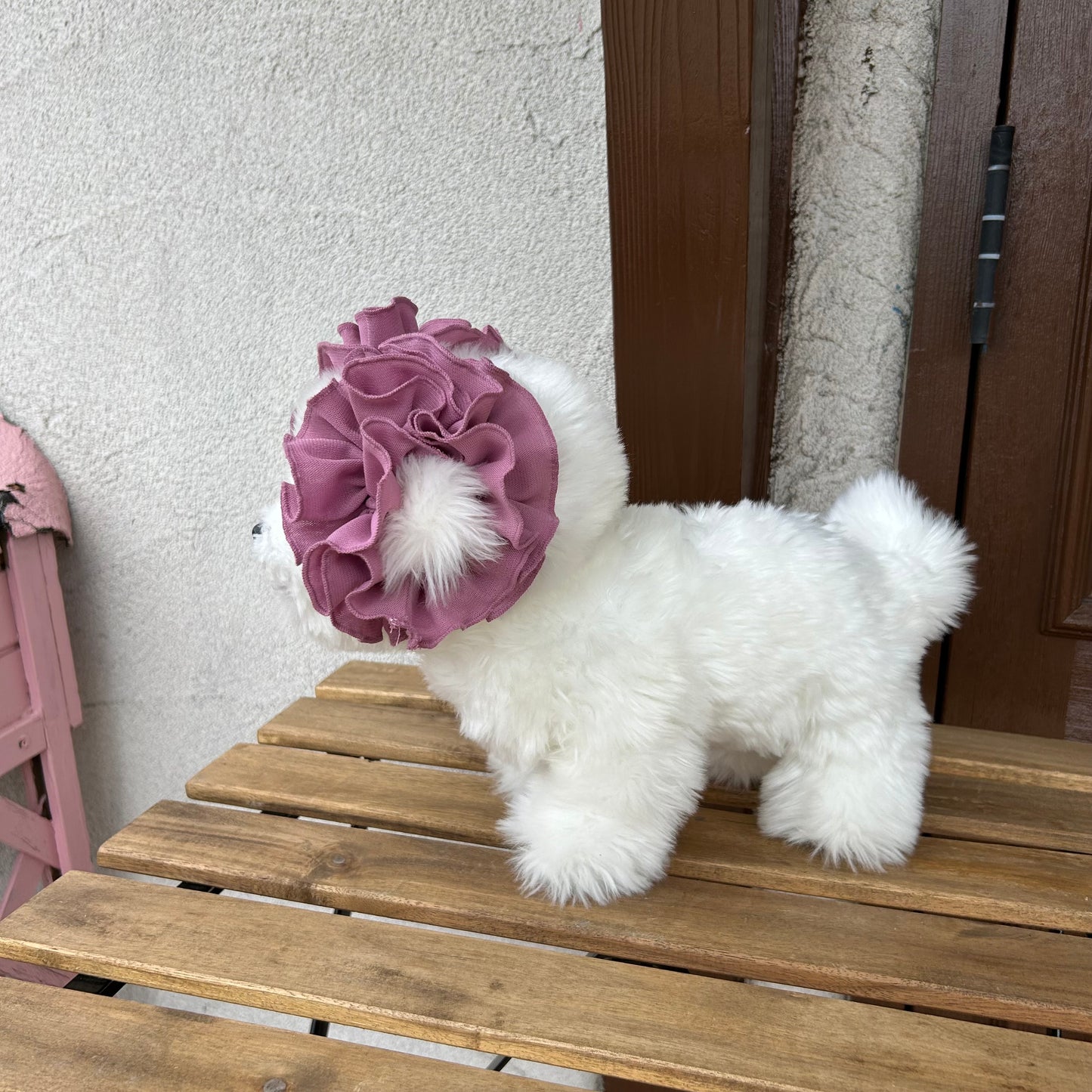 【イヤーシュシュ】干しぶどう336