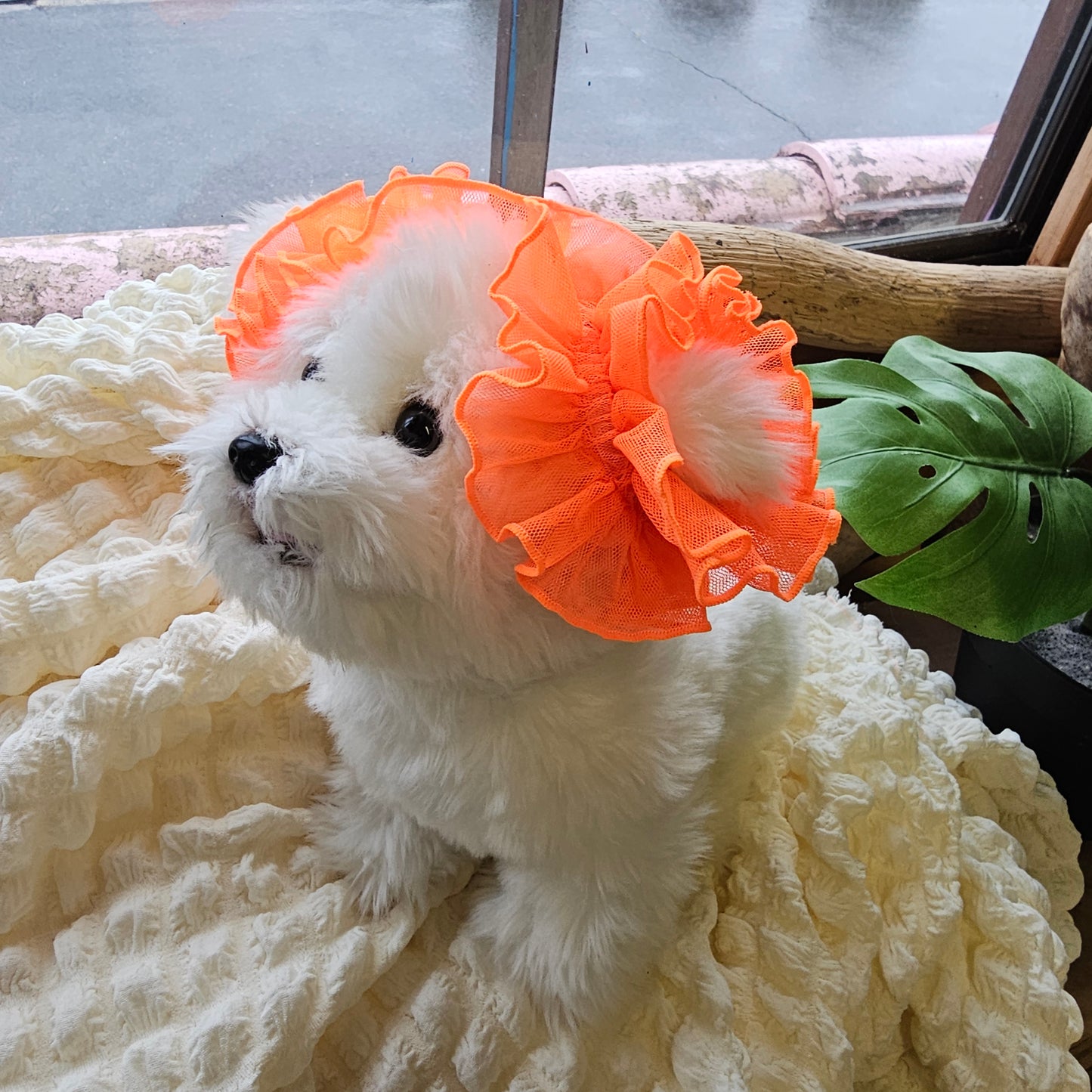 【イヤーシュシュ】シースルーネオンオレンジ