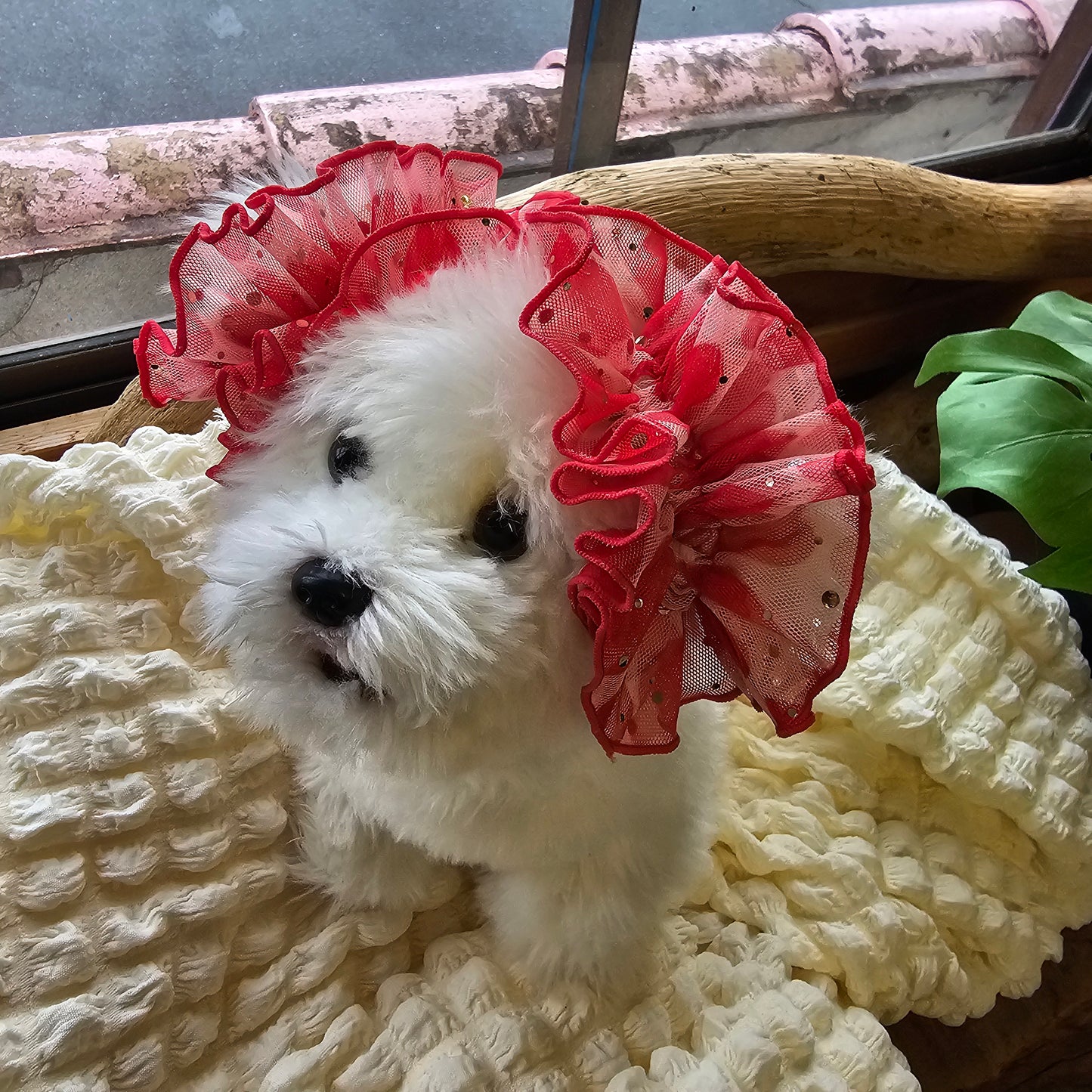 【イヤーシュシュ】ラブリーハート