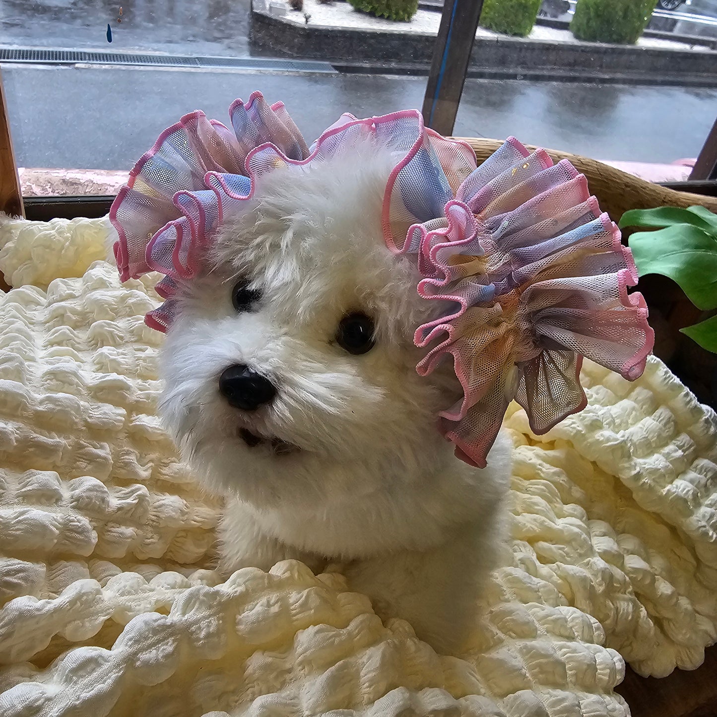 【イヤーシュシュ】ぽわぽわハート
