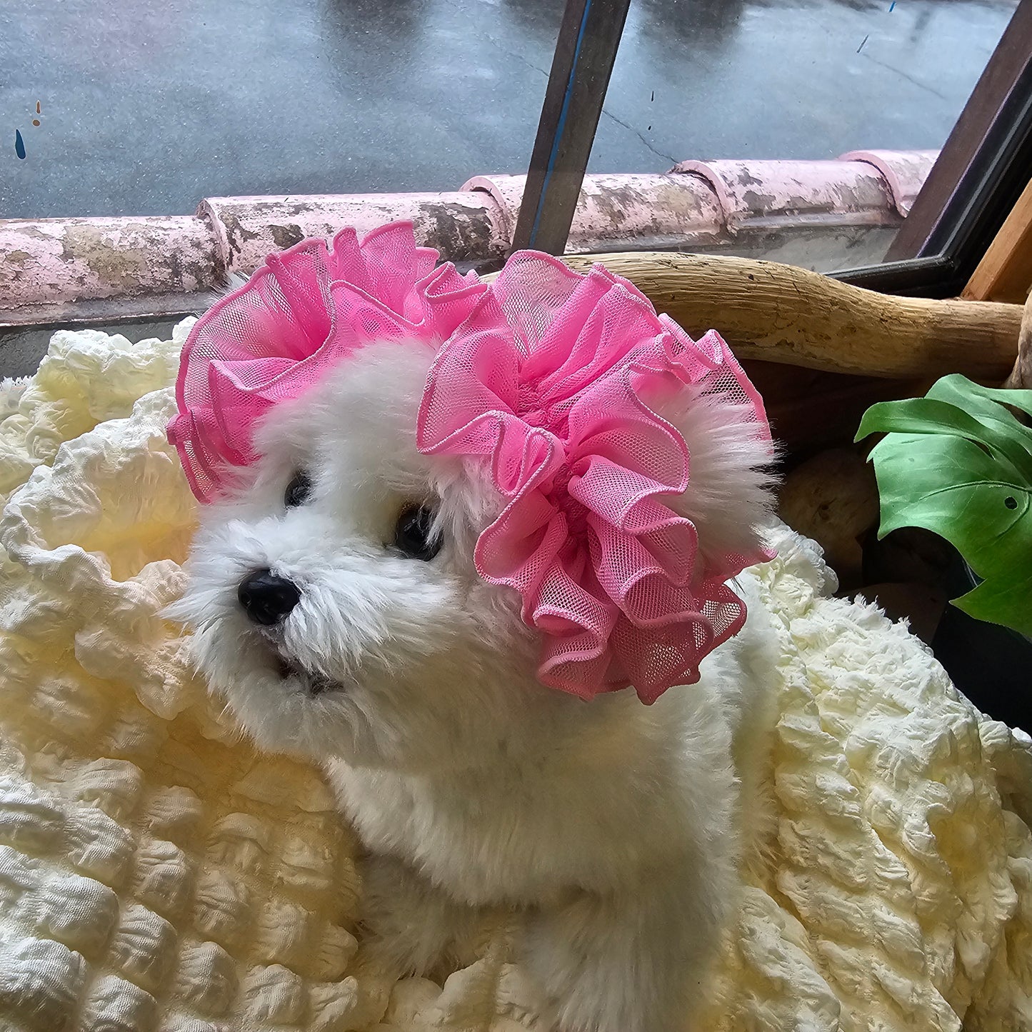 【イヤーシュシュ】シースルーりぼんちゃん