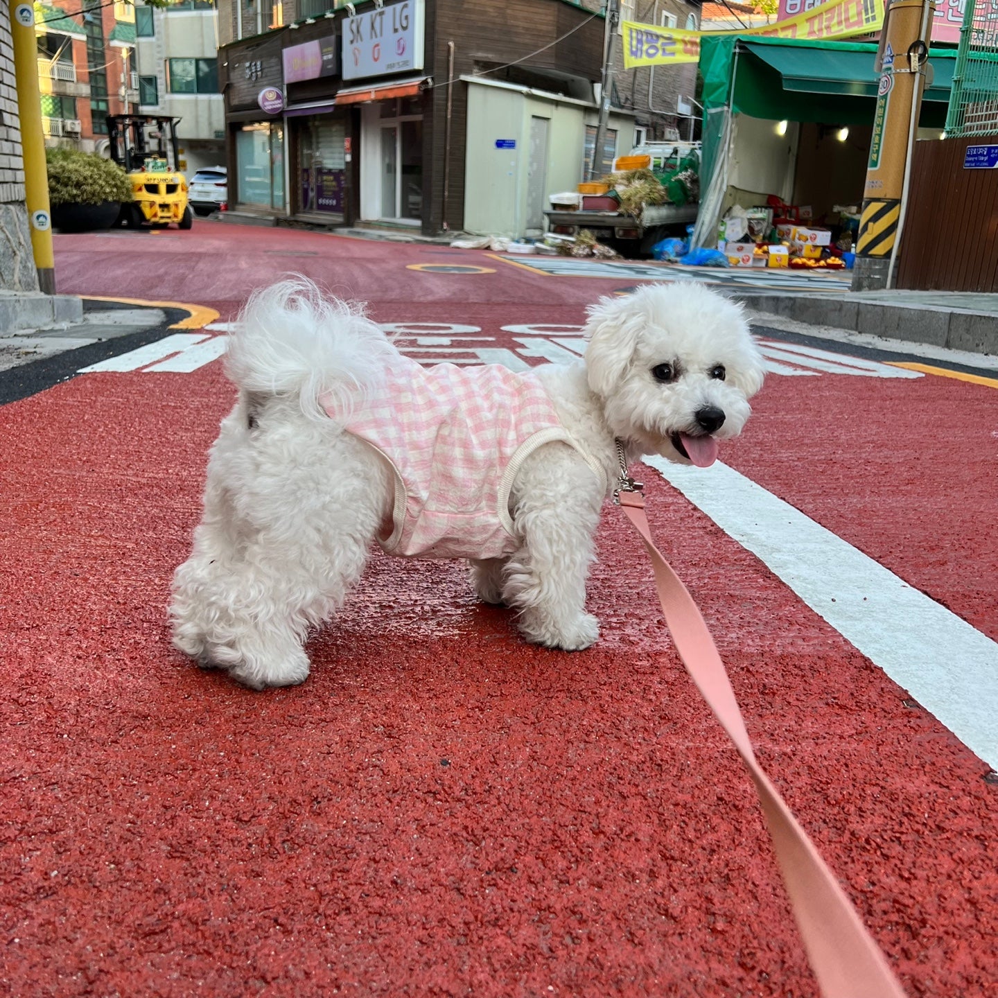 【ゆったりキャミソール】ふんわりコットンチェック 全6色