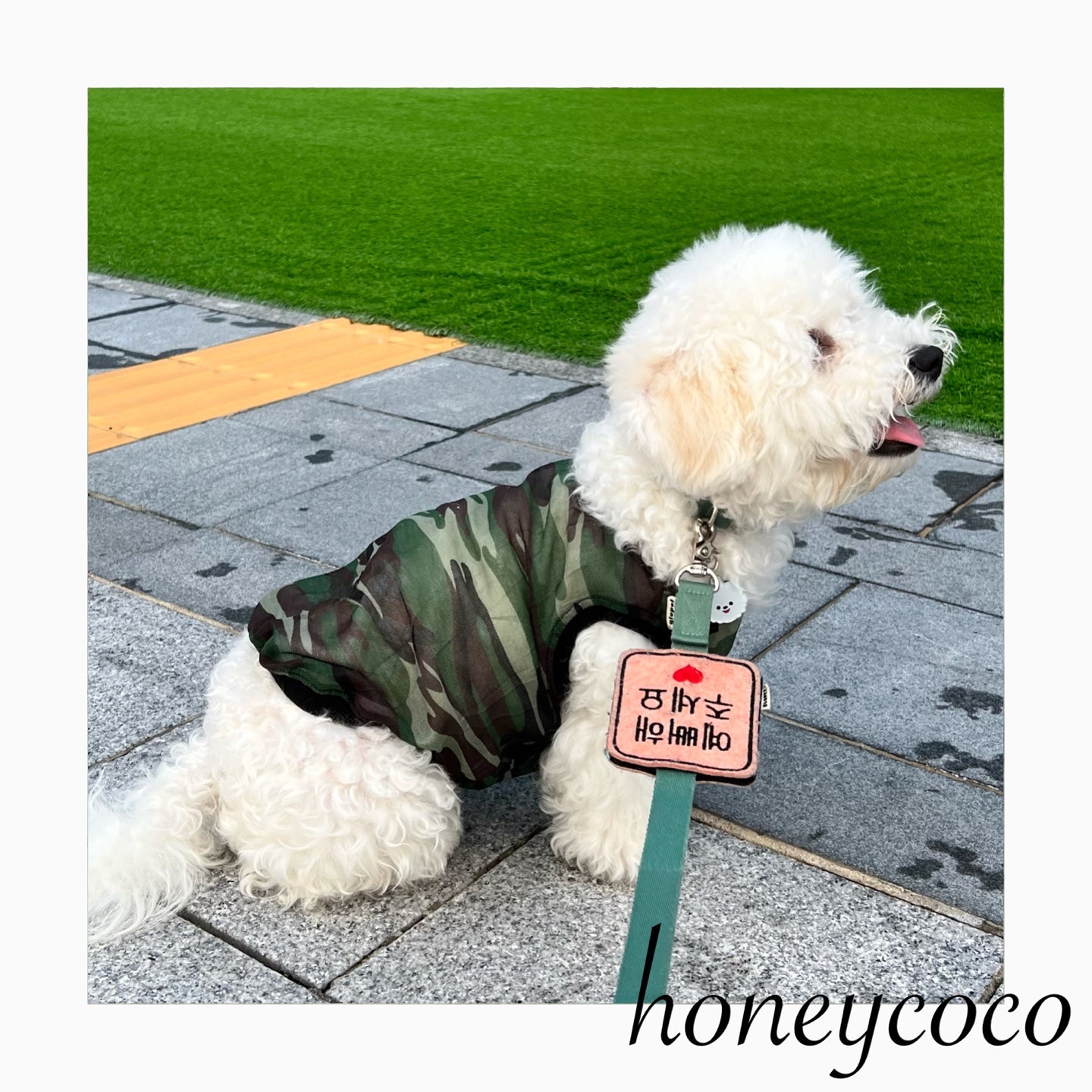犬服 ハンドメイド オーダー用生地① - 犬用品