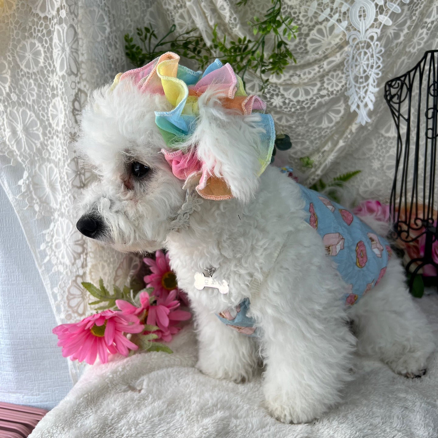 【イヤーシュシュ】ふわふわ綿菓子レインボー