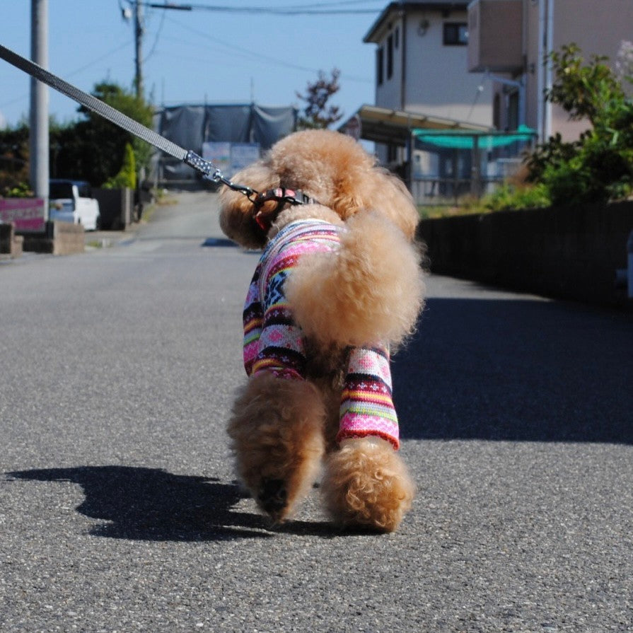 ボーダーオールインワン