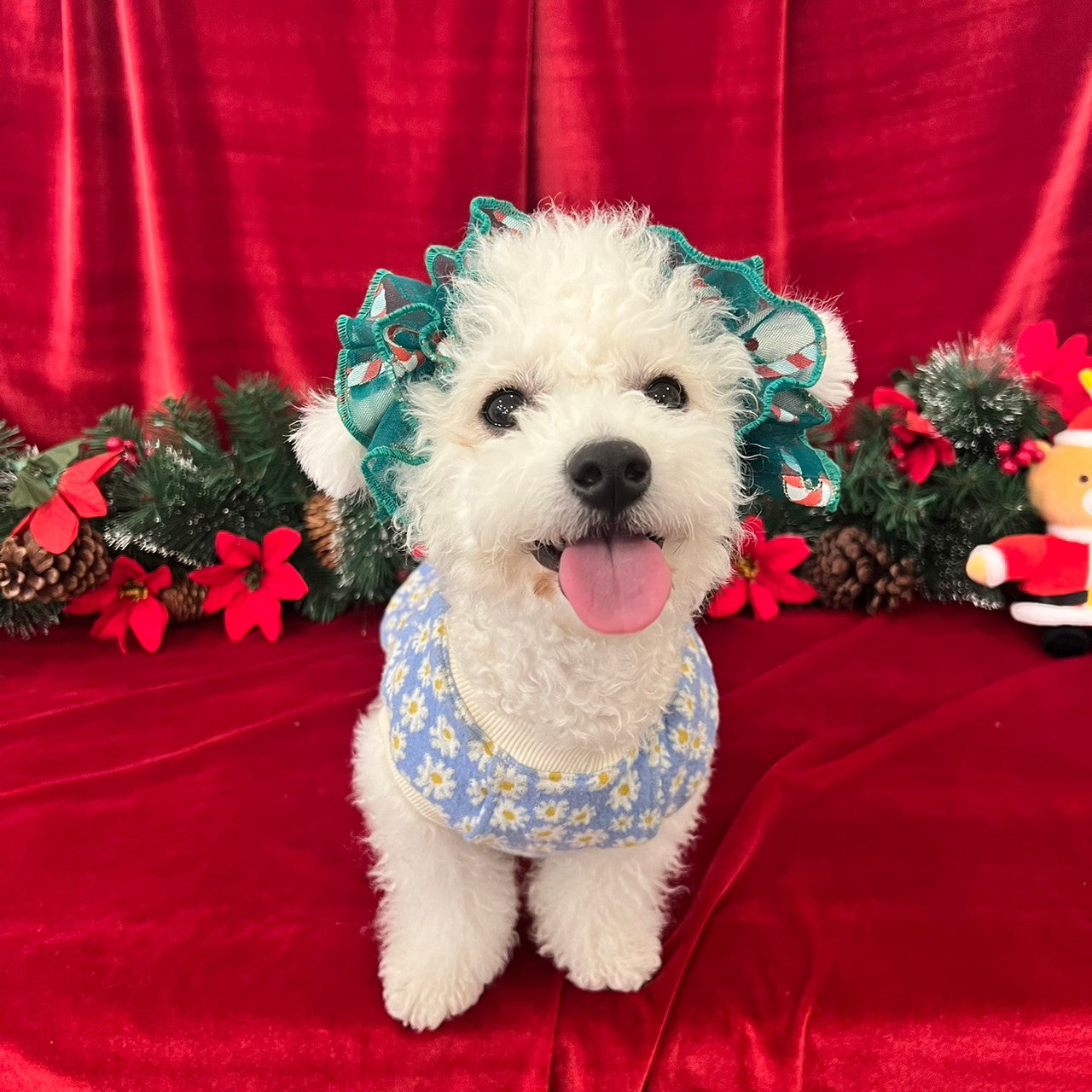 【イヤーシュシュ】クリスマス 4種