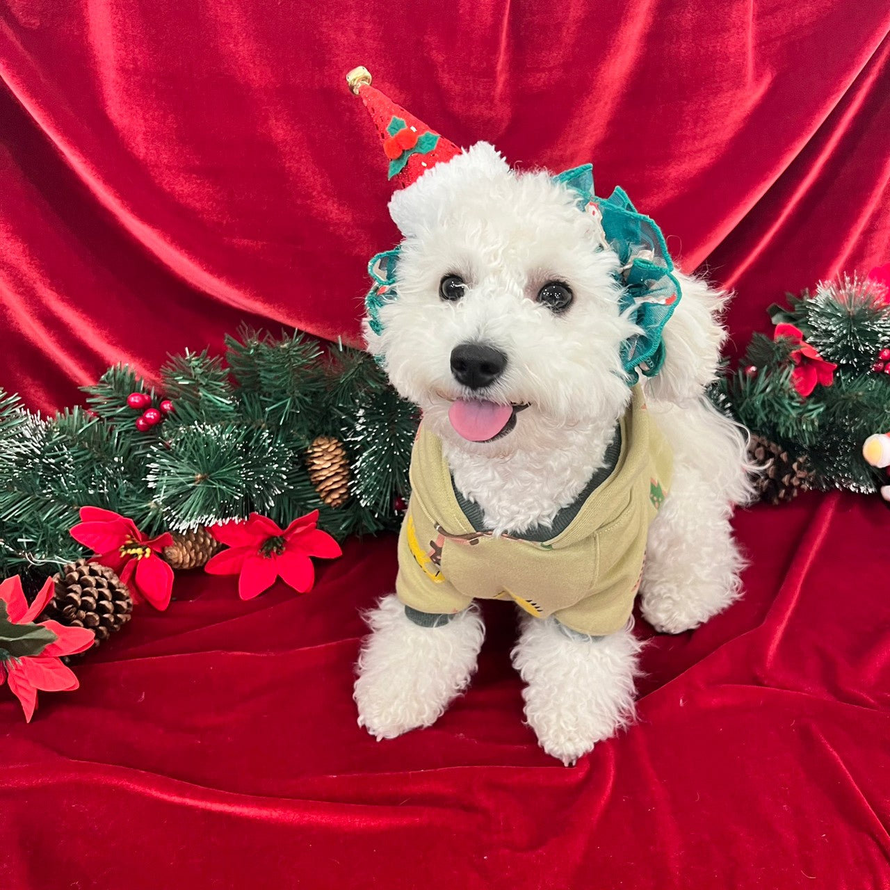 【イヤーシュシュ】クリスマス 4種