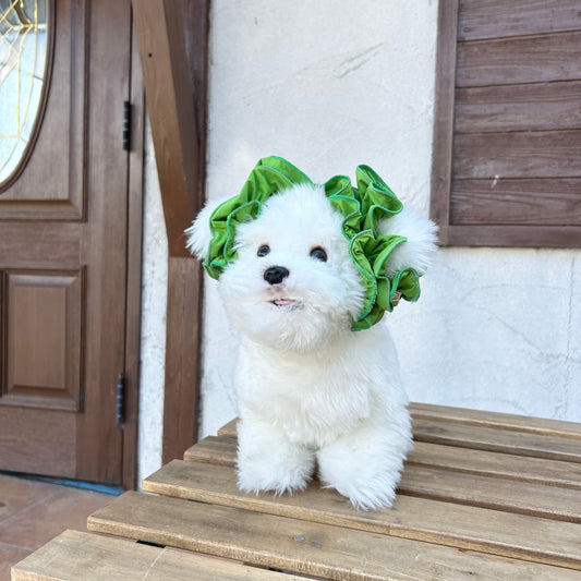 【イヤーシュシュ】ひんやり抹茶